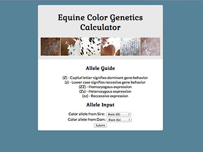 Equine Color Gentics Calculator